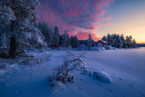 Обои на рабочий стол Домики у леса и следы на снегу, Ringerike, Norway / Ringerike, Норвегия, фотограф Ole Henrik Skjelstad