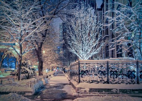 Обои на рабочий стол Зимний вечер на заснеженной улице в Chicago / Чикаго, USA / США