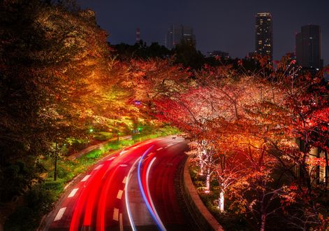 Обои на рабочий стол Огни ночного Токио / Tokyo, автострада с подсветкой, Япония / Japan