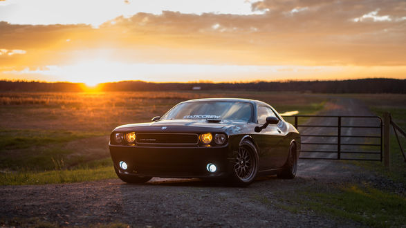 Обои на рабочий стол Dodge challenger на проселочной дороге