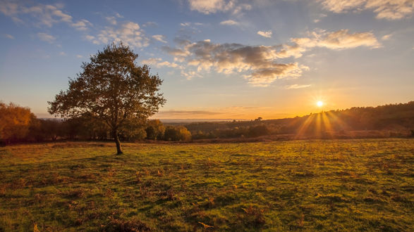 Обои на рабочий стол Autumn sunset, Ashdown Forest, East Sussex / Осенний закат, Лес Ашдаун, Восточный Сассекс, фотограф Antony Cooper
