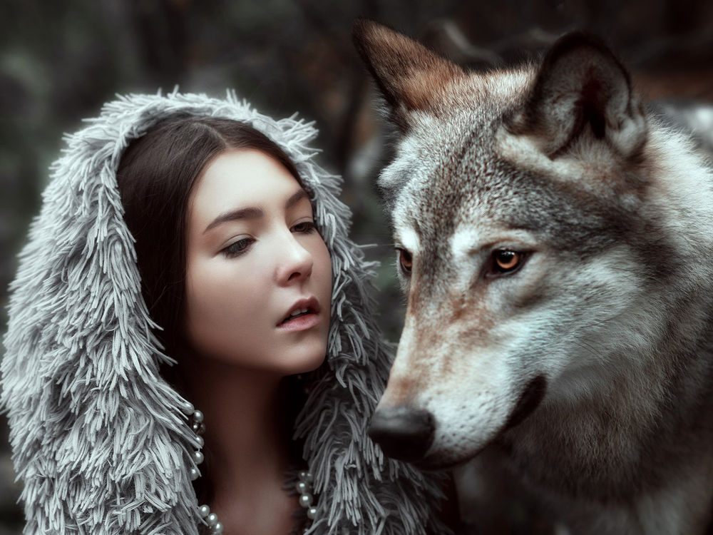Обои для рабочего стола Девушка и волк на фоне природы