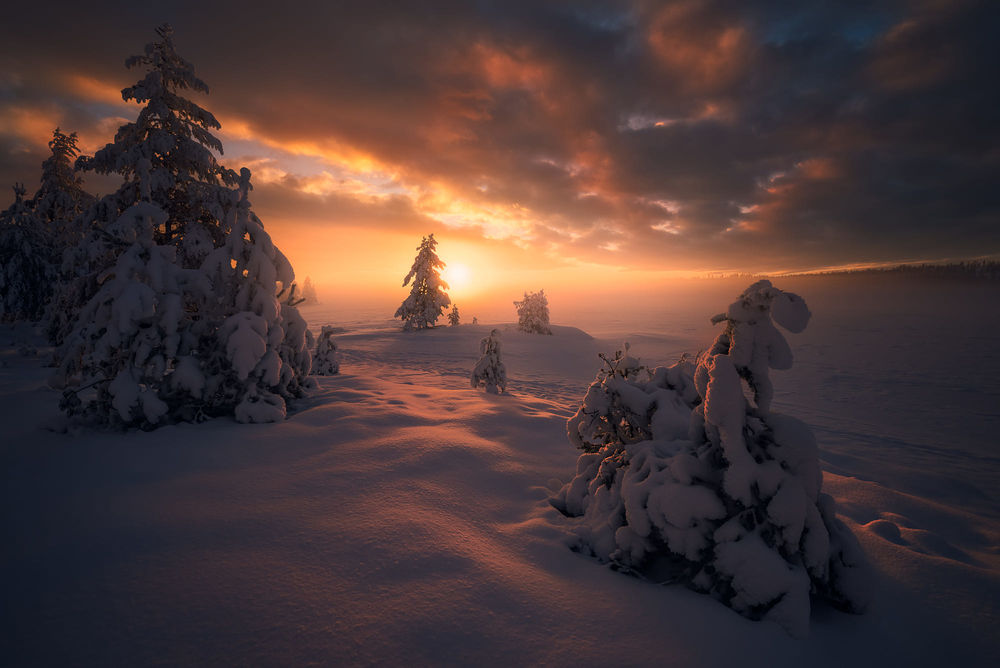 Обои для рабочего стола Зимнее раннее утро, фотограф Ole Henrik Skjelstad