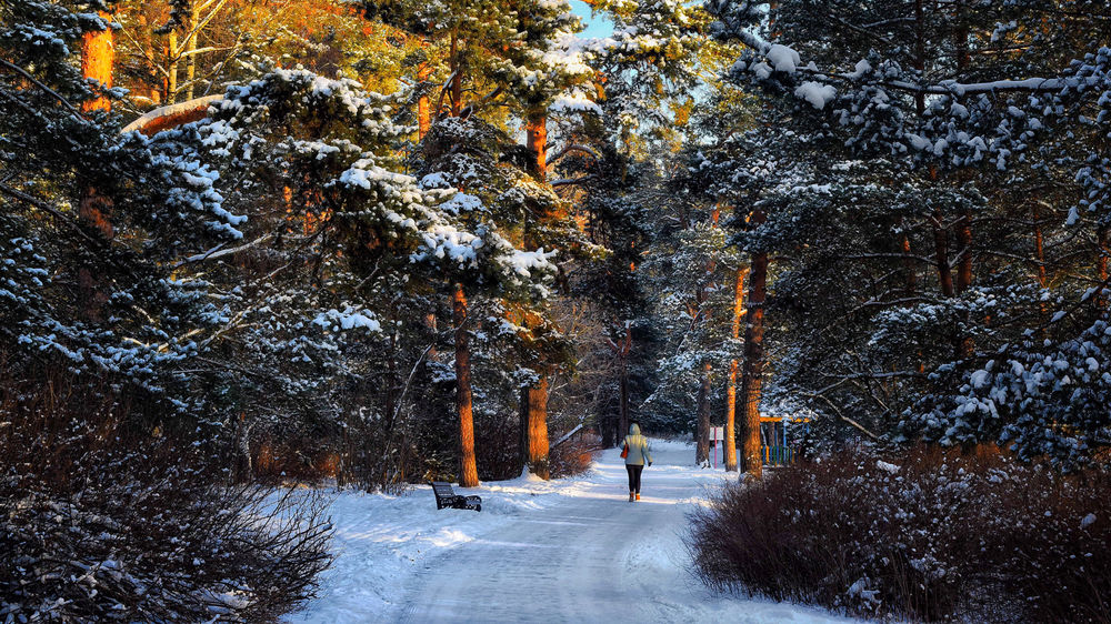 Обои для рабочего стола Девушка прогуливается по зимнему парку, фотограф Roman Alyabev