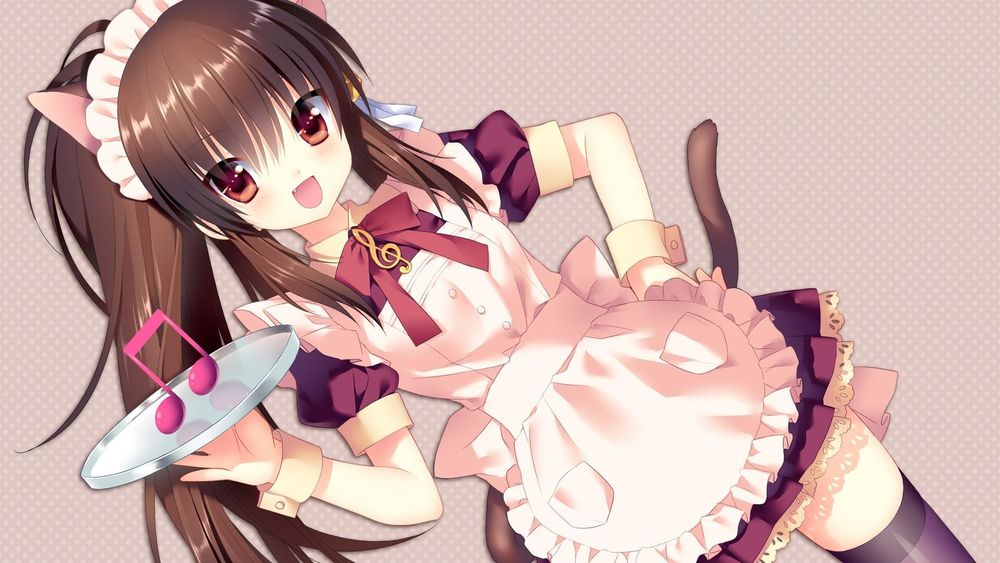 Обои для рабочего стола Neko girl / неко-девочка в форме официантки с подносом