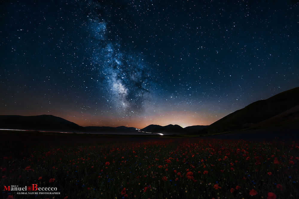 Обои для рабочего стола Над маковым полем ночное звездное небо, by Manuelo Bececco Photography