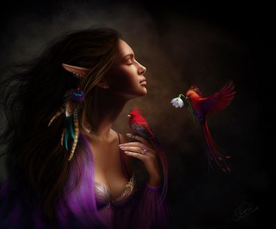 Обои на рабочий стол Девушка - эльфийка смотрит на птицу с весенним цветком, by Alena Ekaterinburg
