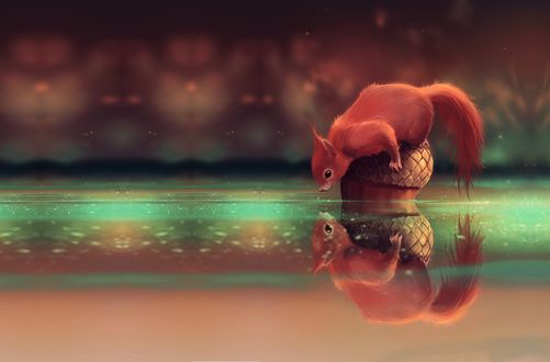 Обои на рабочий стол Белочка смотрит на свое отражение в воде, сидя на желуде, by Aquasixio - Cyril ROLANDO