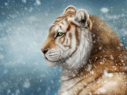 Обои на рабочий стол Тигр под снегопадом, by Alena Ekaterinburg