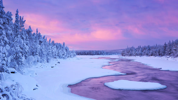 Обои на рабочий стол Река в окружении зимнего леса, Лапландия, Финляндия / Lapland, Finland на рассвете, автор csp_sara_winter
