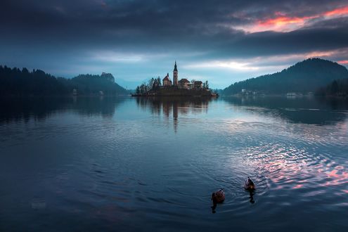Обои на рабочий стол Озеро Bled Lake, Slovenia / Блед, Словения, на переднем плане плавающие утки, фотограф Adnan Bubalo