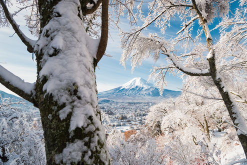 Обои на рабочий стол Гора Fuji / Фудзи возвышается над снежным городом Fujiyoshida Yamanashi Prefecture, Japan / Фуцзесида-Яманаси, Япония, фотограф Yuga Kurita