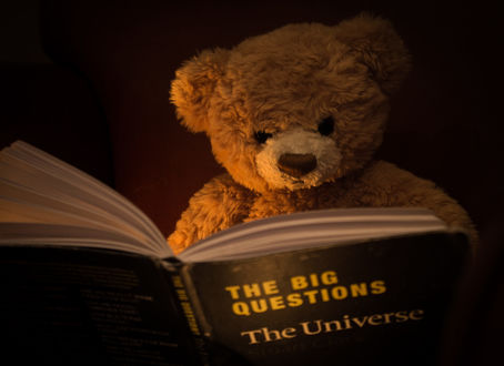Обои на рабочий стол Игрушечный мишка с книгой, by BCKimages