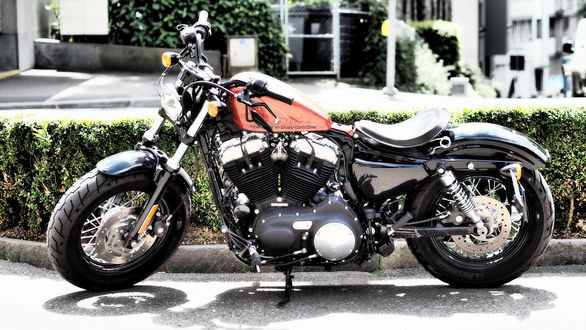 Обои на рабочий стол Мотоцикл Harley Davidson припаркован возле кустов