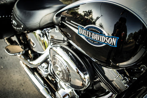 Обои на рабочий стол Крупный план лейбла Harley Davidson на мотоцикле