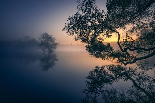 Обои на рабочий стол Утренний туман над водой, Richmond Park, England / Ричмонд-парк, Англия