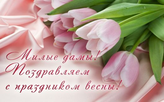 Обои на рабочий стол Букет розовых тюльпанов на розовой ткани (Милые дамы! Поздравляем с праздником весны!)