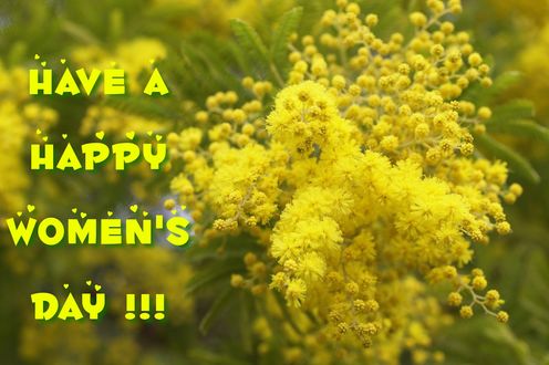 Обои на рабочий стол На фоне мимозы надпись Have Happy Womens Day / Счастливого женского дня!