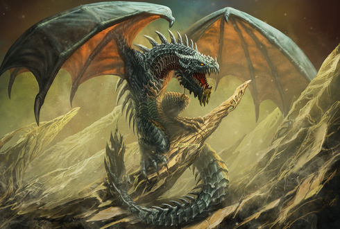 Обои на рабочий стол Wyvern / Виверна, by Edikt Art