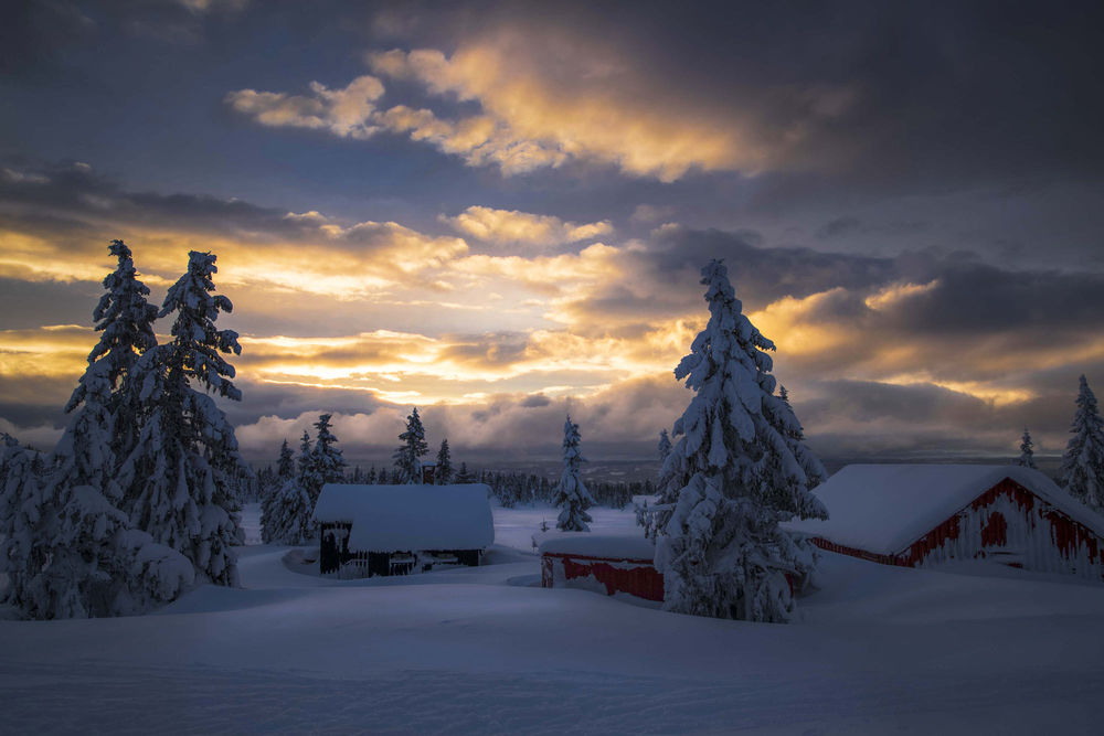 Обои для рабочего стола Домики и ели в снегу, фотограф Jоrn Allan Pedersen