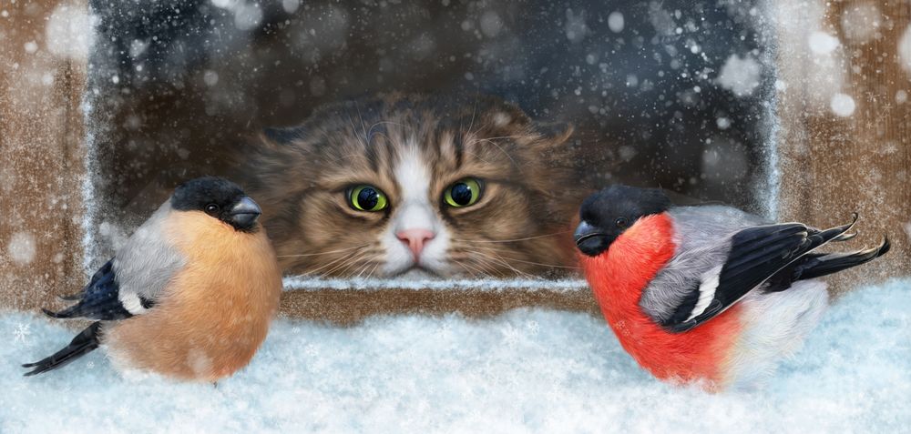 Обои для рабочего стола Кот за окном наблюдает за снегирями, by Alena Ekaterinburg