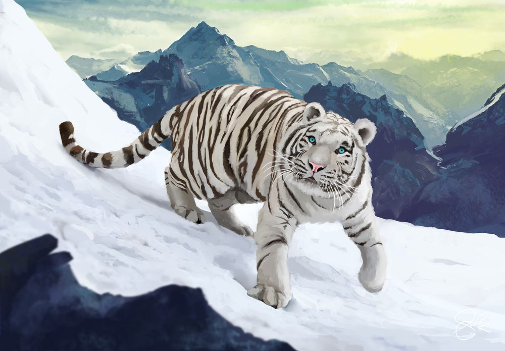 Обои для рабочего стола Белый тигр на снегу, by Shellz - art