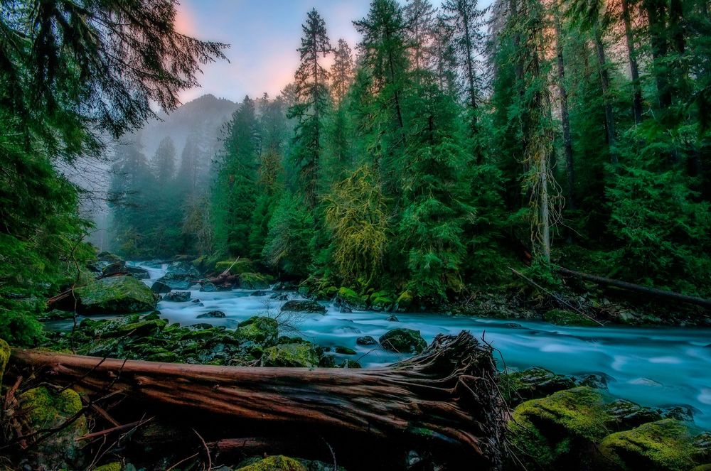 Обои для рабочего стола Бурная речка, протекающая сквозь лес, Skykomish, USA / Скайкомиш, США, фотограф KEVIN RUSSELL