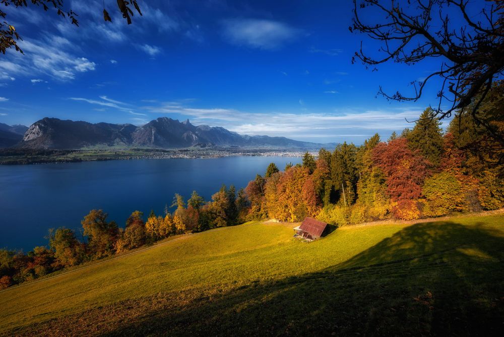 Обои для рабочего стола Осенний пейзаж природы с видом на озеро Thun, Switzerland / Тун, Швейцария, фотограф Samuel Hess