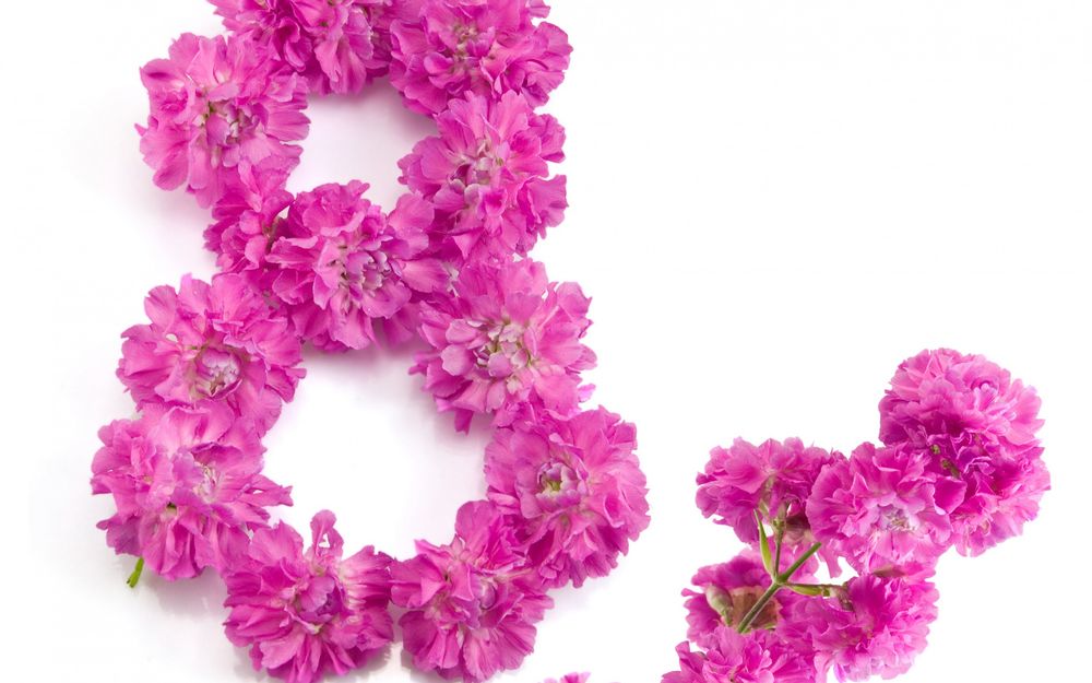 Обои для рабочего стола Восьмерка из розовых цветов гвоздики на Международный женский день 8 марта