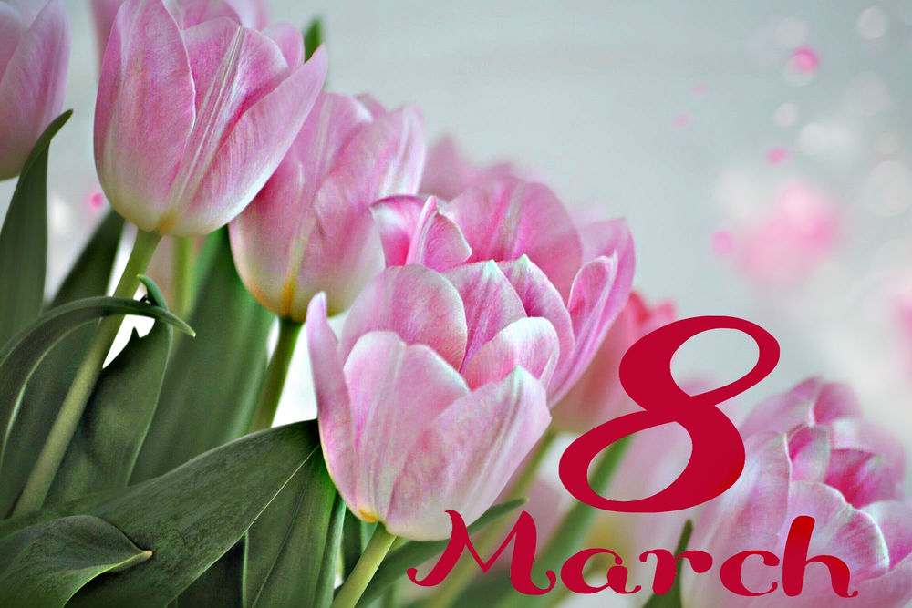 Обои для рабочего стола Праздничные весенние розовые тюльпаны, 8 марта