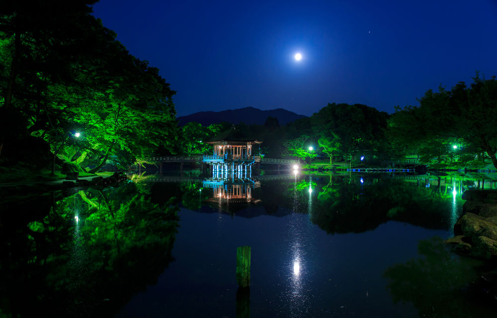 Обои для рабочего стола Лунная ночь над национальным парком Nara, Japan / Нара, Япония