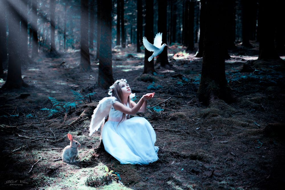 Обои для рабочего стола Девочка, в образе ангела, сидит в лесу, рядом с зайчиком и смотрит на летящего голубя, by Mick Cam