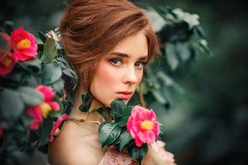 Обои на рабочий стол Модель Александра стоит у куста роз, фотограф Olga Boyko