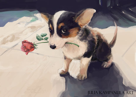 Обои на рабочий стол Собачка с розой во рту, автор Julia Kampanula