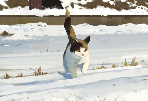 Обои на рабочий стол Кошка идет по снегу, by Shin jong hun