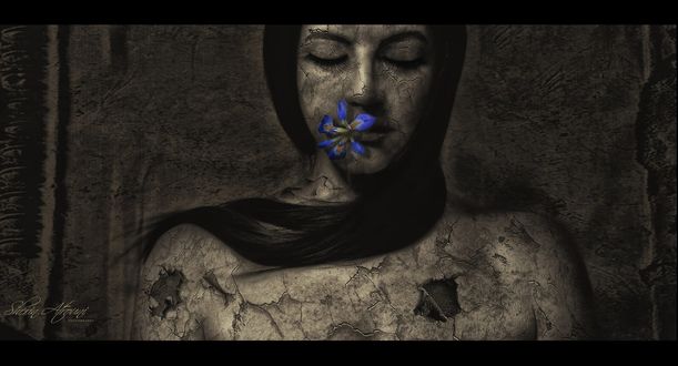 Обои на рабочий стол Девушка с ирисом во рту, фотограф sherin atrouni