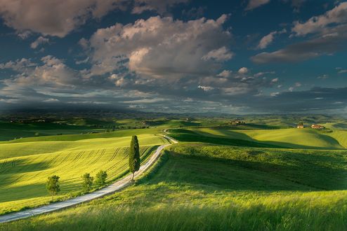 Обои на рабочий стол Пейзаж природы Siena, near the village of Ville di Corsano / Сиены, недалеко от деревни Вилле ди Корсано, Italy / Италия, фотограф Guido Maria Rustichini