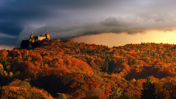 Обои на рабочий стол Замок Neuschwanstein / CastleНойшванштайн, скрытый в лесах Баварских Альп, фотограф Johannes Plenio