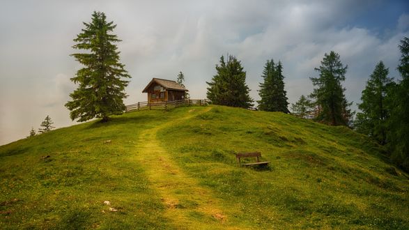 Обои на рабочий стол Домик на холме с тропинкой рядом с деревьями, фотограф Johannes Plenio