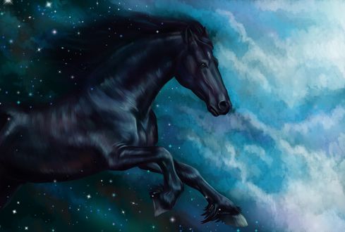Обои на рабочий стол Вороной жеребец в звездном небе, by Елена Саморядова
