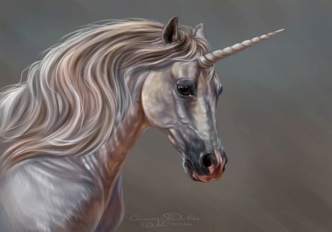 Обои на рабочий стол Unicorn / Единорог на сером фоне, by Елена Саморядова