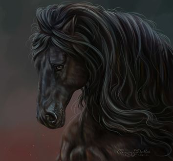 Обои на рабочий стол Вороной жеребец с грустными глазами, by Елена Саморядова