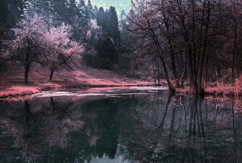 Обои на рабочий стол Lake, Ilidza, Bosnia / озера Стойчевак, Илидза, Босния, фотограф Mevludin Sejmenovic