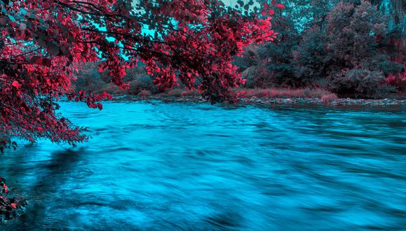Обои на рабочий стол Bosnia river, Ilijas, Bosnia / Река Босния, Илияс, Босния, фотограф Mevludin Sejmenovic