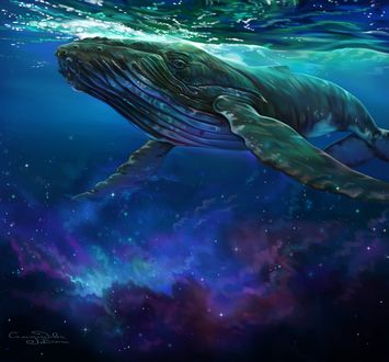 Обои на рабочий стол Whale and stars / Кит и звезды, by Елена Саморядова