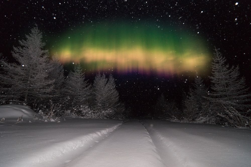 Обои для рабочего стола Колея в снегу, между деревьми, на фоне северного сияния в ночном небе