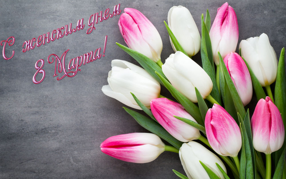 Обои для рабочего стола Букет бело-розовых тюльпанов и надпись (С женским днем 8 марта!)