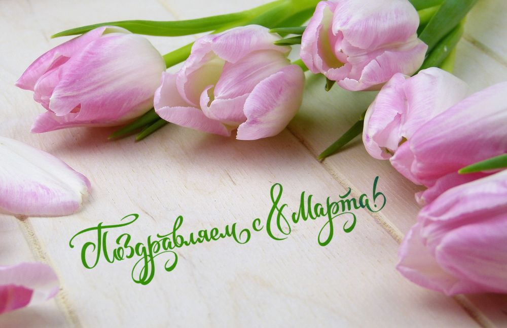 Обои для рабочего стола Розовые тюльпаны и надпись поздравляем с 8 марта
