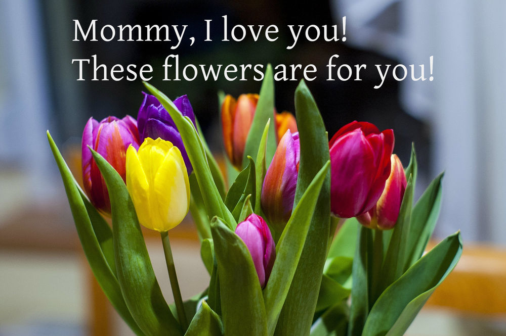 Обои для рабочего стола Букет тюльпанов на размытом фоне, (Mommy, I love you! These flowers are for you! / Мама, Я тебя люблю! Эти все цветы тебе! )