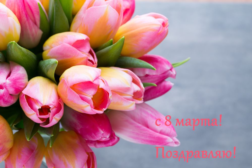Обои для рабочего стола Букет весенних тюльпанов, (с 8 марта! Поздравляю!)